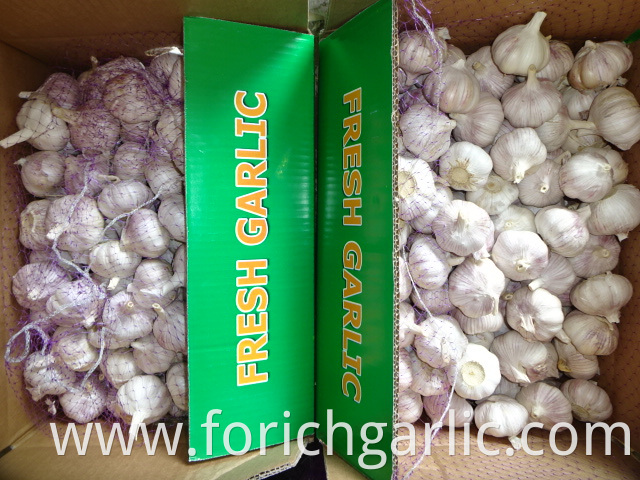 Crop 2019 White Garlic